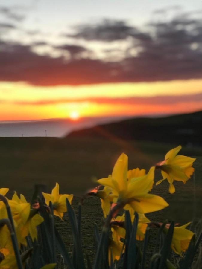 Bunnahabhain 5 - Farm Stay - Stunning Sea And Rural Views Stranraer Esterno foto
