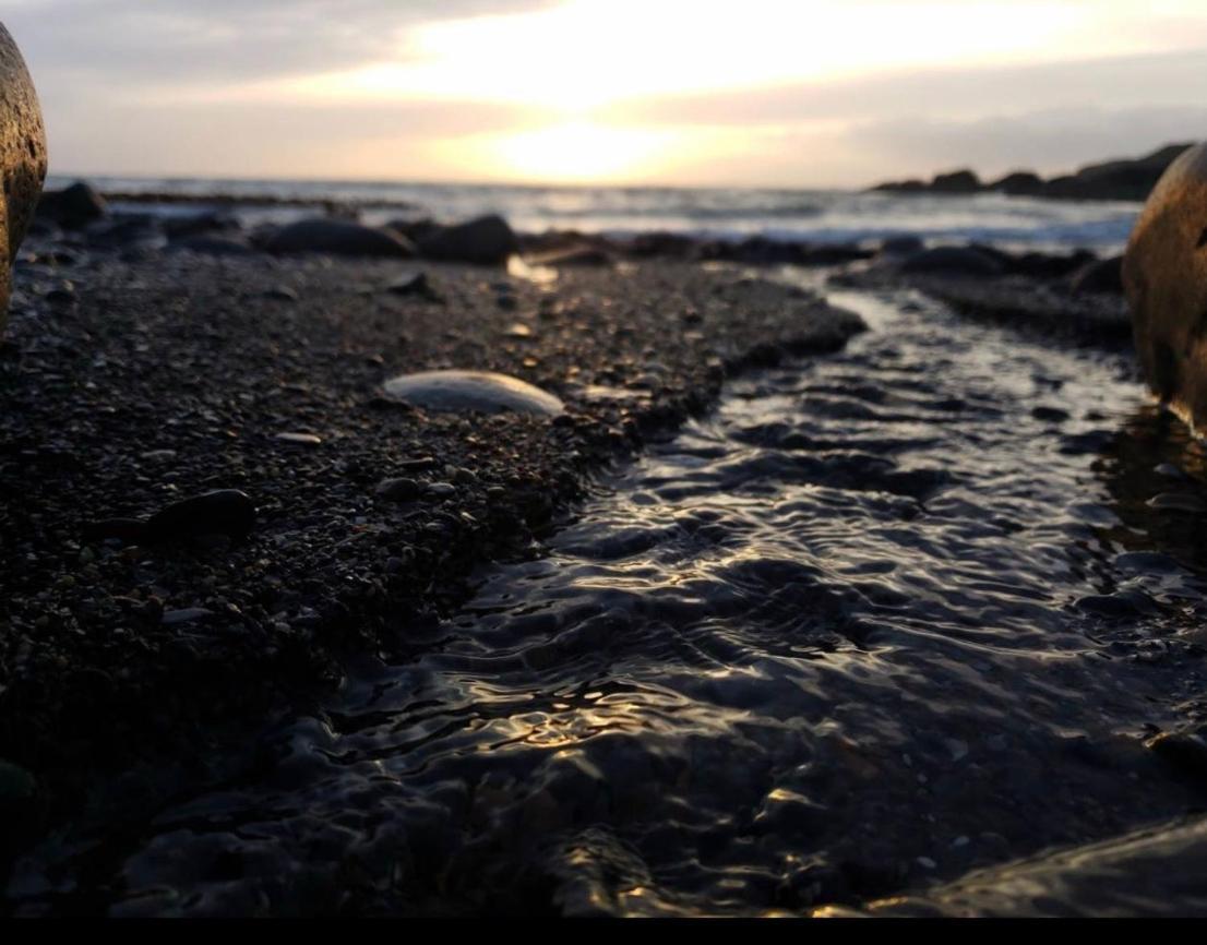 Bunnahabhain 5 - Farm Stay - Stunning Sea And Rural Views Stranraer Esterno foto