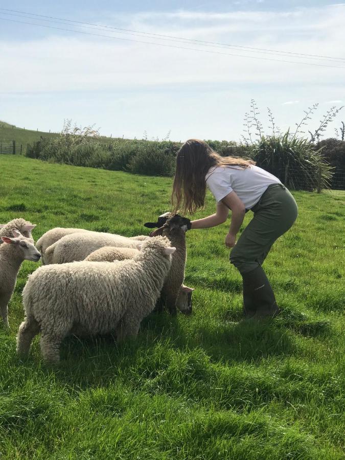 Bunnahabhain 5 - Farm Stay - Stunning Sea And Rural Views Stranraer Esterno foto
