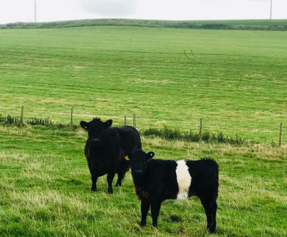 Bunnahabhain 5 - Farm Stay - Stunning Sea And Rural Views Stranraer Esterno foto