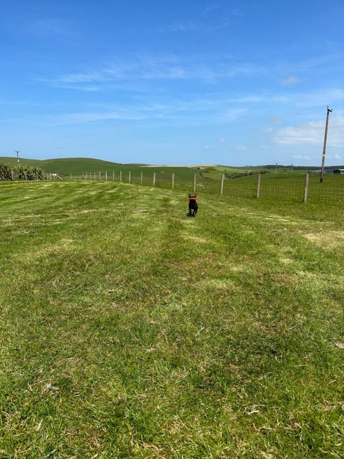 Bunnahabhain 5 - Farm Stay - Stunning Sea And Rural Views Stranraer Esterno foto